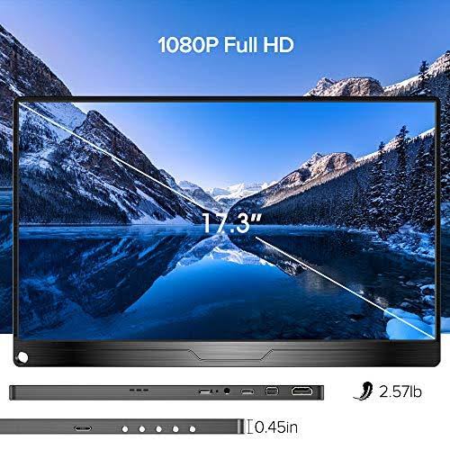 17.3 inch IPS HDR USB C Gaming Monitor N76415