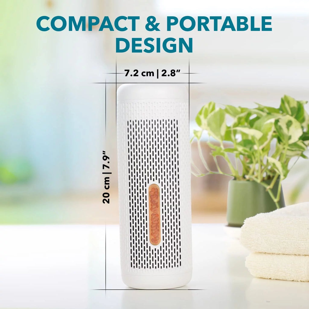 Dehumidifier for Bedroom Home Closet Office P1132