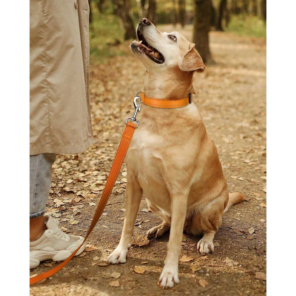 Reflective Nylon Adjustable Dog Collar with Quick Release Buckle W296356