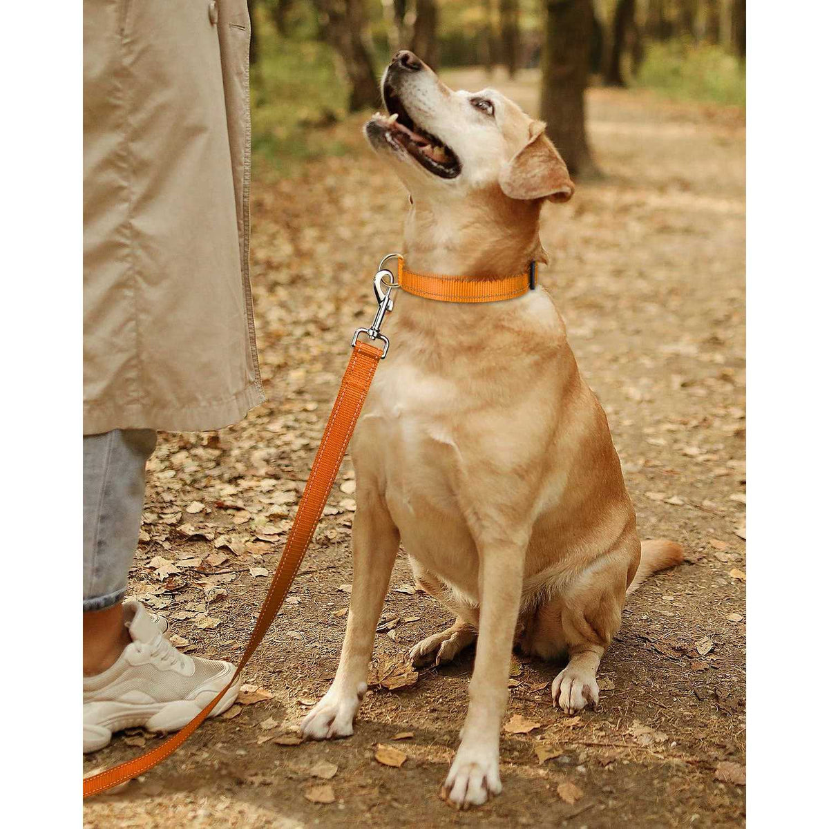 Reflective Nylon Adjustable Dog Collar with Quick Release Buckle W296356