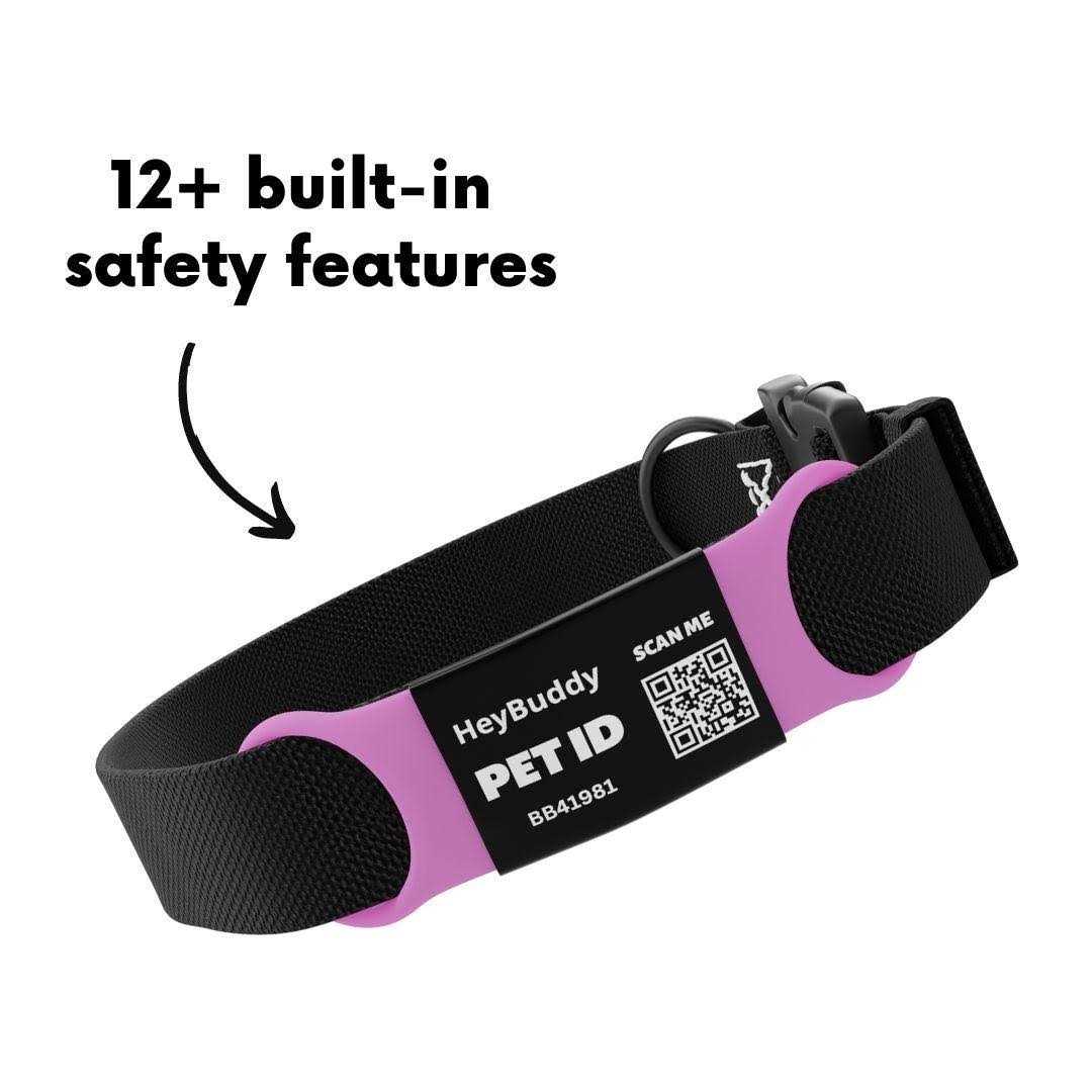 Noiseless QR Code Pet Tag I4682