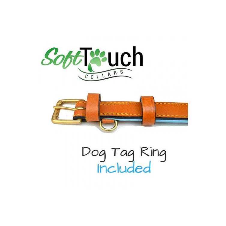 Leather Padded Dog Collar B498473
