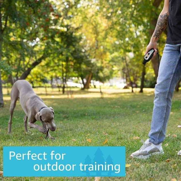 Waterproof Remote Dog Training Collar I781040