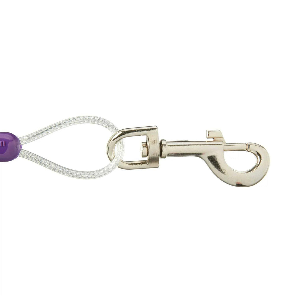 Reflective Vinyl-Covered Tie-Out for Dogs A867