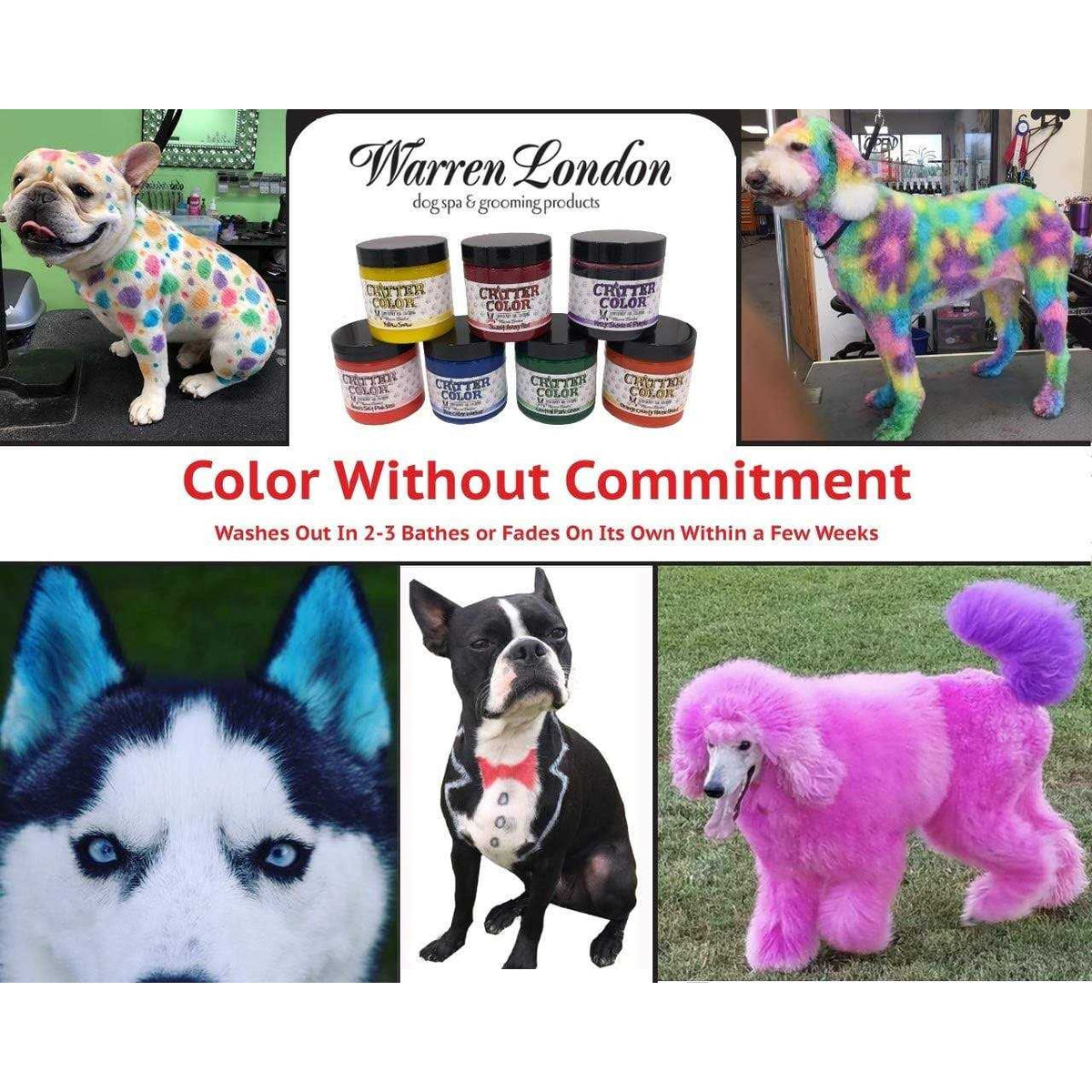 Pet Supplies I812