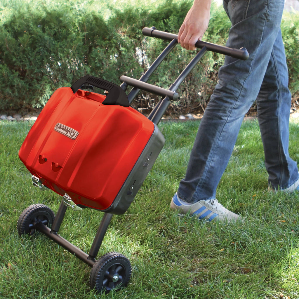 Portable 1-Burner Propane Grill Q1932