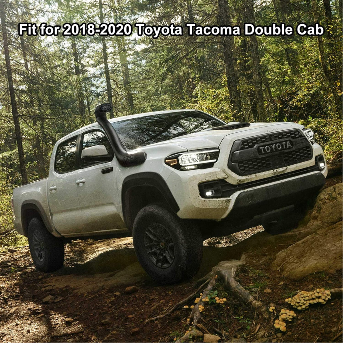 Black TPE Floor Mats for Toyota Tacoma Double Cab O255