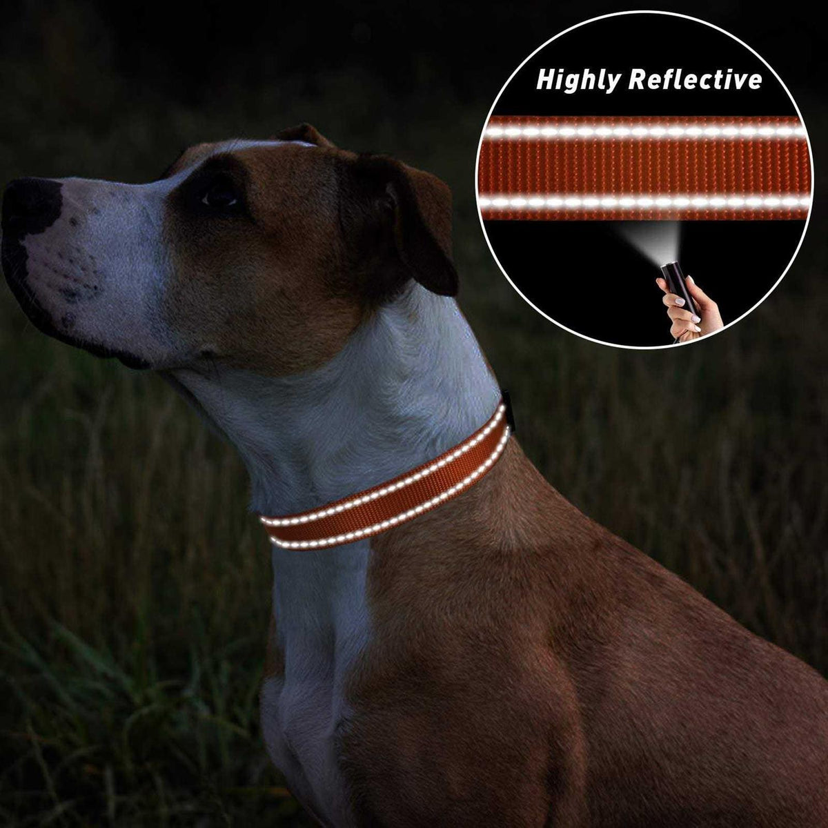 Reflective Nylon Adjustable Dog Collar with Quick Release Buckle W296356